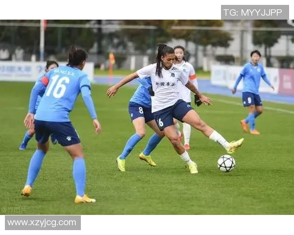 南京排球队强势领跑联赛积分榜74分稳居第一位置 南京排球队强势领跑联赛积分榜74分稳居第一位置