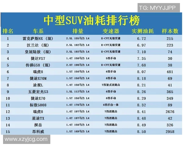 洲际杯积分榜:重庆排球队以96分领跑 洲际杯积分榜:重庆排球队以96分领跑