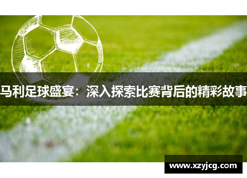 马利足球盛宴：深入探索比赛背后的精彩故事