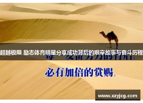 超越极限 励志体育明星分享成功背后的艰辛故事与奋斗历程