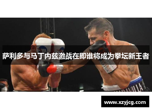 萨利多与马丁内兹激战在即谁将成为拳坛新王者